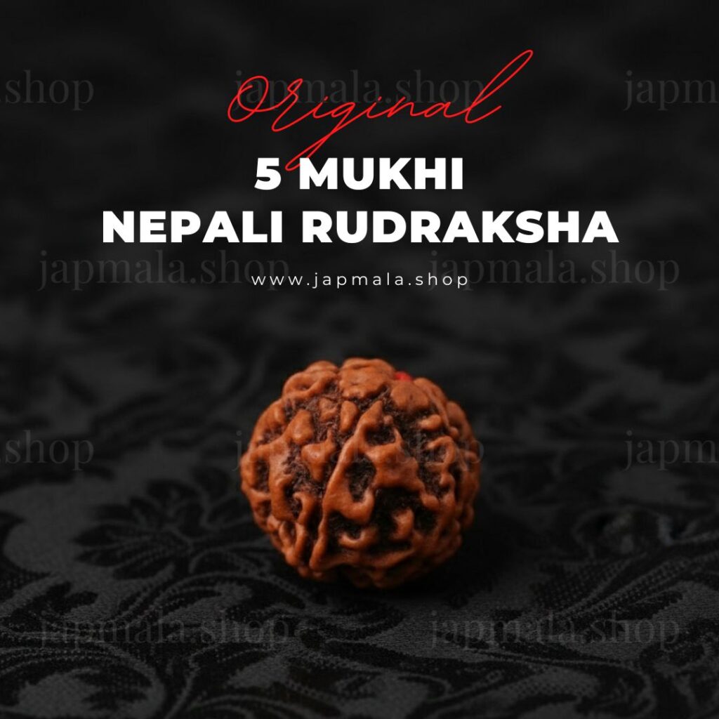 Free Gift - 5 Mukhi Nepali Rudraksha