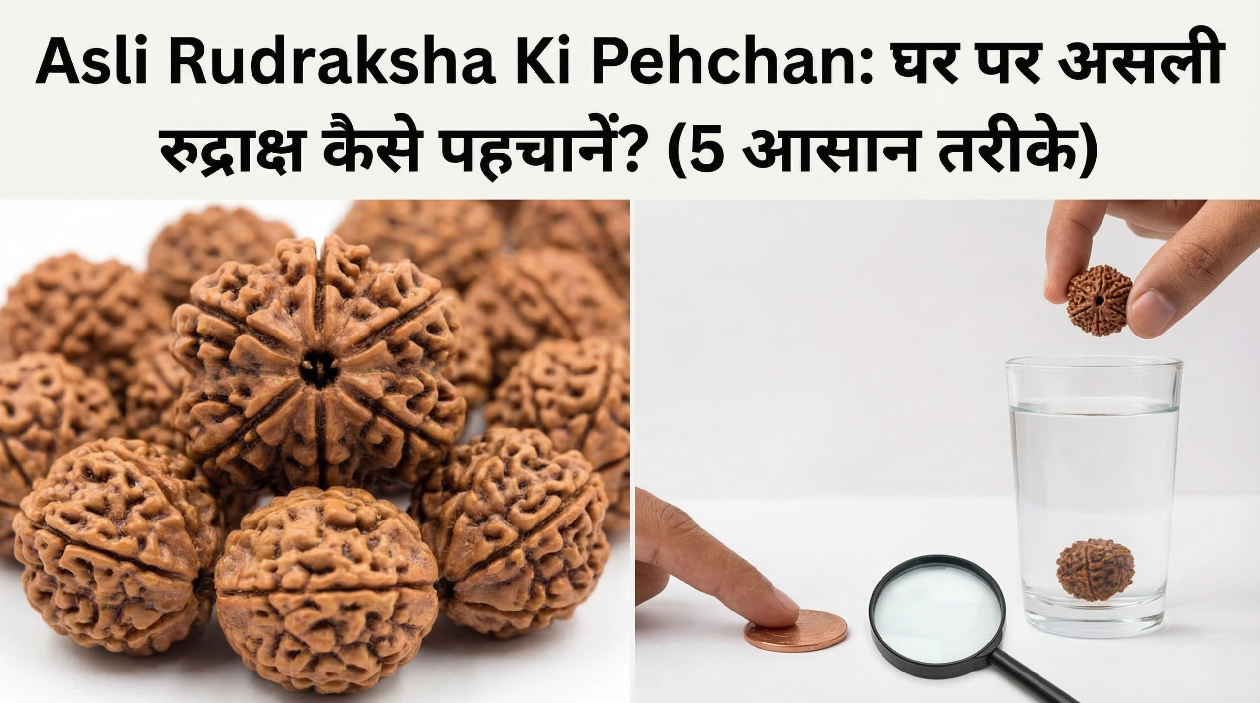 asli rudraksha ki pehchan
